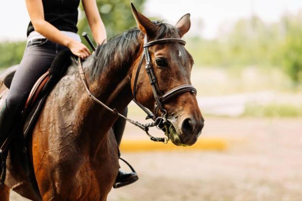 Racing Horse Guest House~Free Unlimited Golf Grants Pass Exterior foto